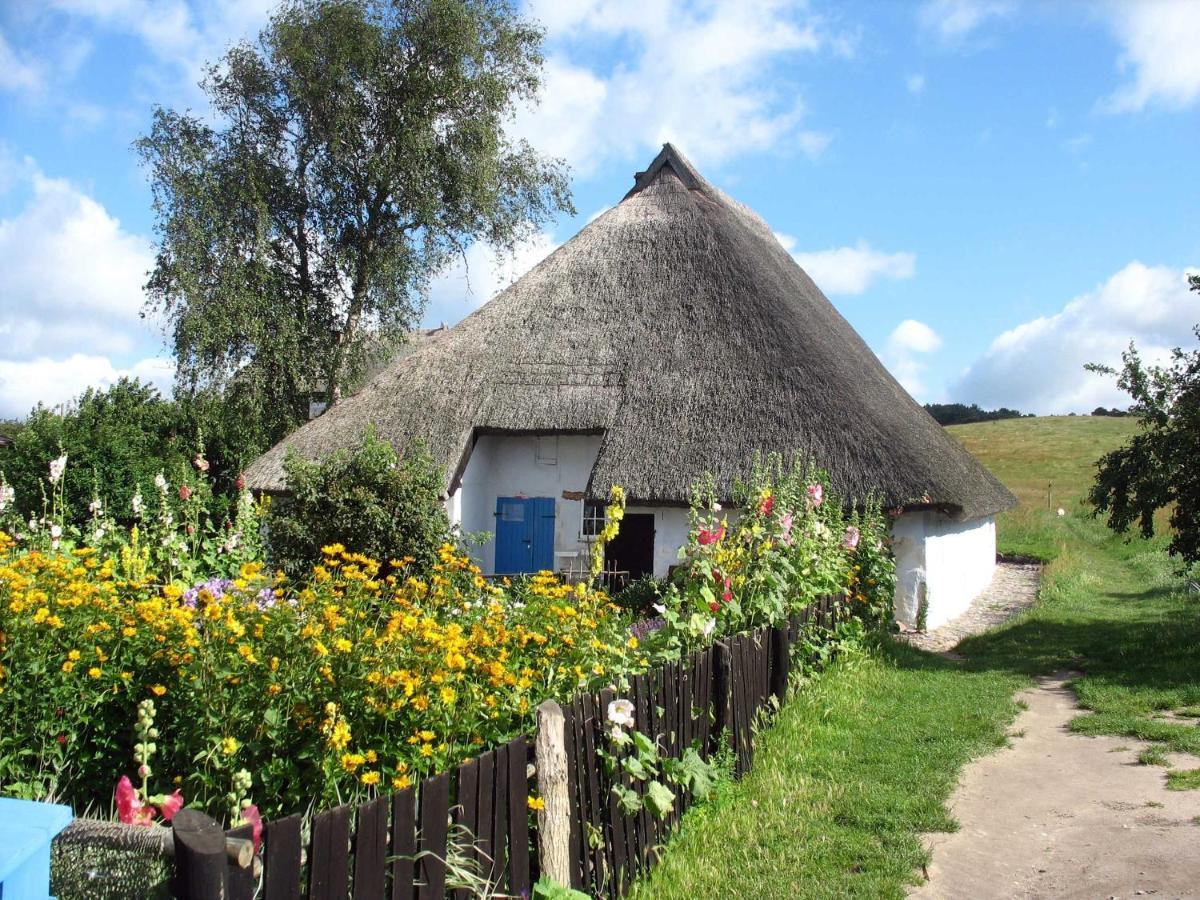Groß Zicker Ferienhaus Zum Boddenstrand Mit Ka מראה חיצוני תמונה